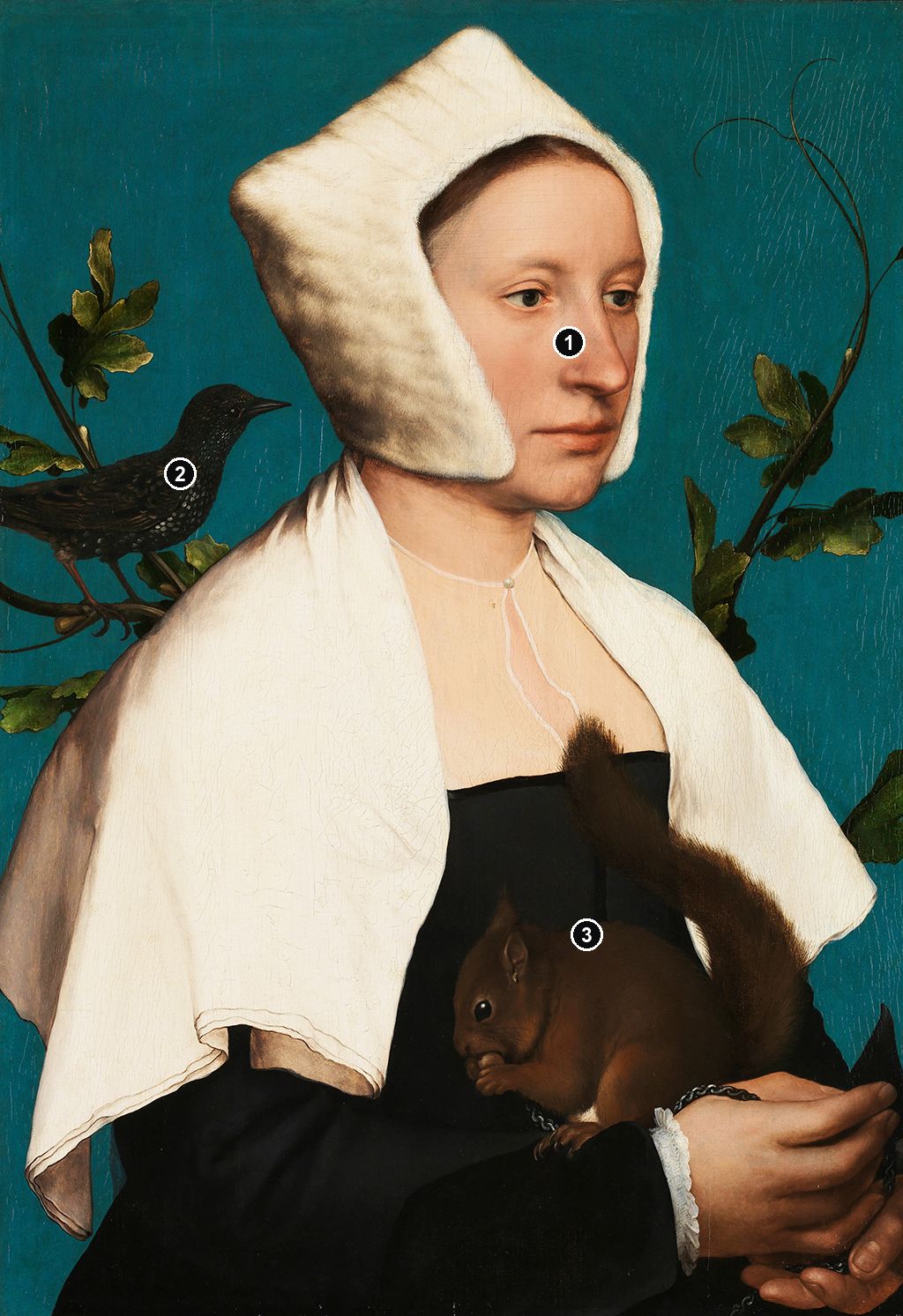 Annotated details from A Lady with a Squirrel and a Starling by Hans Holbein the Younger